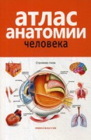 Атлас анатомии человека. 2-е изд., доп. и перераб