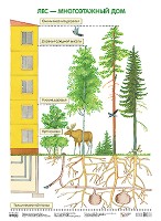 Плакат. Лес — многоэтажный дом