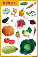 Развивающие плакаты. Овощи