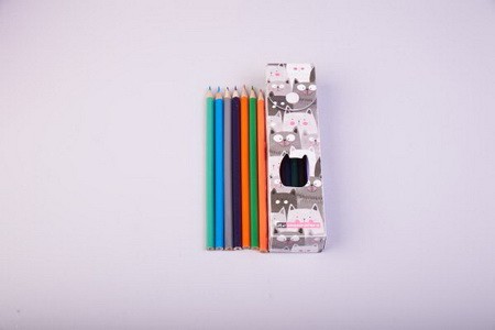 Милые коты. Пластиковый пенал с карандашами (24шт)